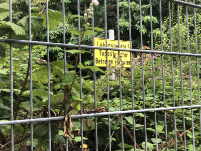 Ein Zugang-Verboten-Schild hinter einem Zaun in einem bewaldeten Gebiet