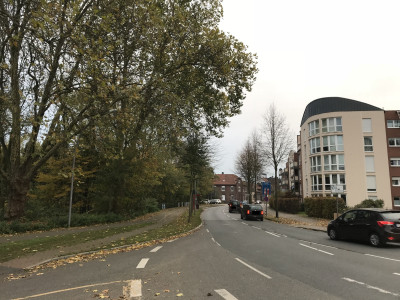 Kurve einer mehrspurigen Straße, Bäume höher als Häuser auf der gegenüberliegenden Seite