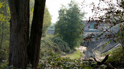 Reich bewachsenes Waldstück, Büsche, kleine und große Bäume sind zu sehen, im Hintergrund Wohnhäuser