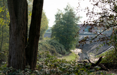 Reich bewachsenes Waldstück, Büsche, kleine und große Bäume sind zu sehen, im Hintergrund Wohnhäuser