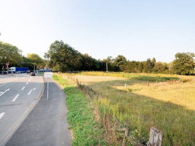 Freie Grünfläche neben einer Straße