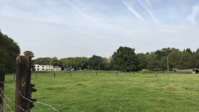Feld mit einer Grünen Wiese, eingezäunt, im Hintergrund ein Wohnhaus