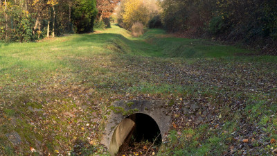 Ein Bach in einem Waldstück