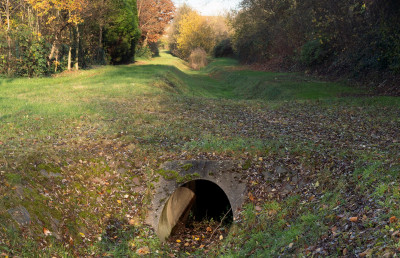 Ein Bach in einem Waldstück